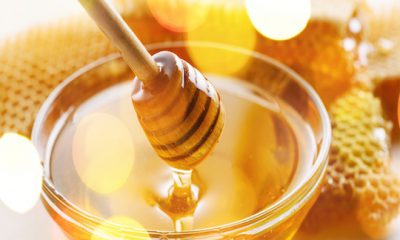 ¿Sabías que las abejas no son los únicos insectos que trabajan con miel?
