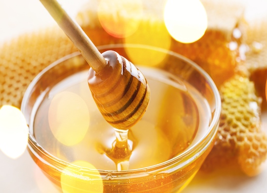 ¿Sabías que las abejas no son los únicos insectos que trabajan con miel?