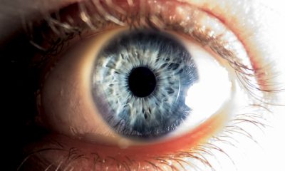 ¿Sabías que el ojo humano puede distinguir 10.000.000 colores?