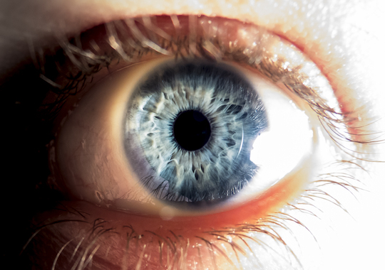 ¿Sabías que el ojo humano puede distinguir 10.000.000 colores?