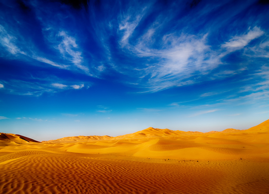¿Sabías que el desierto árabe era una selva?