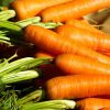 Zanahoria-modofun- sabias que