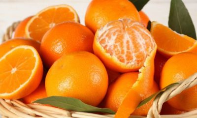naranja- color- fruta- modofun