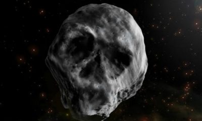 asteroide. calavera-modofun