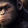 híbrido- humano chimpancé- modofun