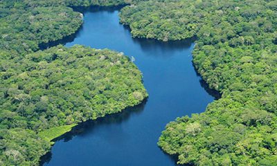 ¿Sabías que existe un río que fluye debajo del Río Amazonas