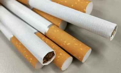 ¿Sabías que la nicotina se usa en insecticidas?
