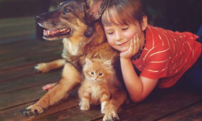 ¿Sabías que los niños con mascotas tienen menos alergias