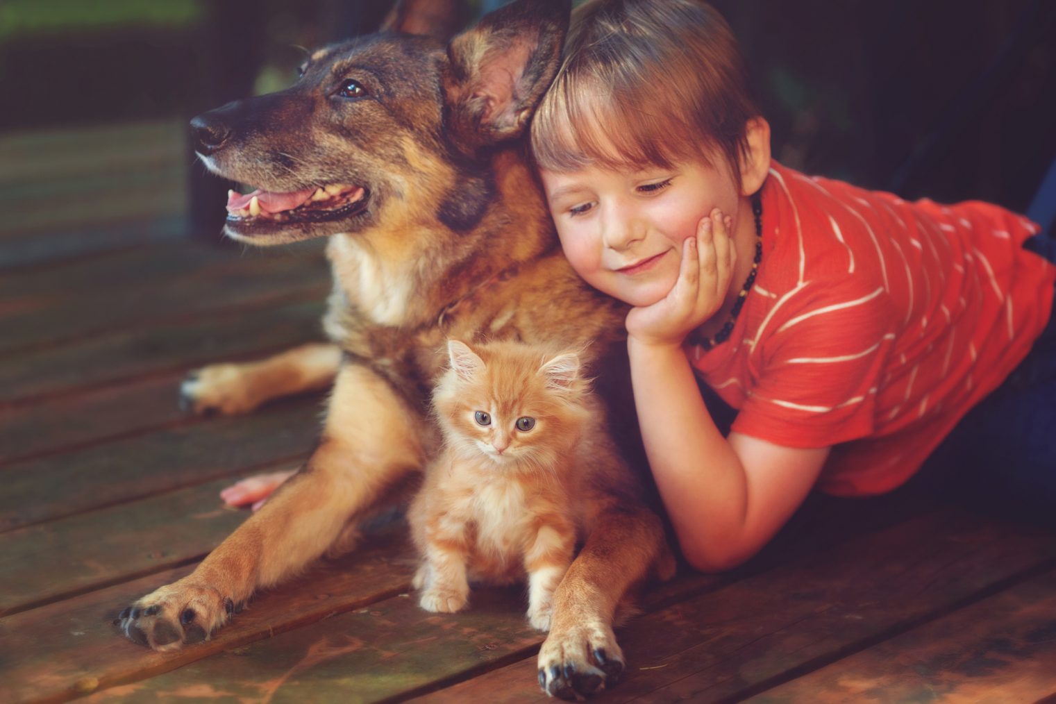 ¿Sabías que los niños con mascotas tienen menos alergias