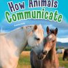 ¿Sabías que algunos animales se comunican con olores?