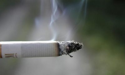 ¿Sabías que sin cigarro, el cáncer de pulmón sería escaso