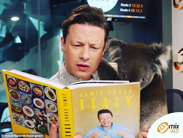¿Sabías que un chef famoso abrazó a un koala?
