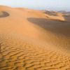 ¿Sabías que el desierto árabe era una selva?