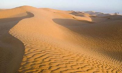 ¿Sabías que el desierto árabe era una selva?