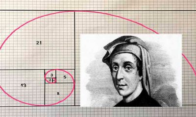 ¿Sabías que la sucesión de Fibonacci está en la naturaleza?